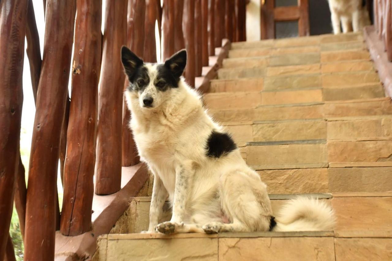 Merinja Guest House Найваша Екстер'єр фото